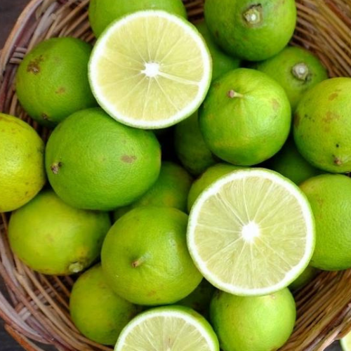 Bergamotto dell'Etna 5/10/20/40 KG