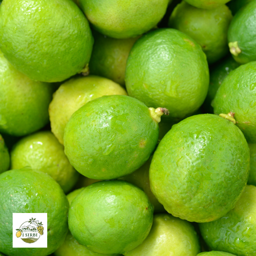 Box mista 9/19/36 KG Limoni e Bergamotti