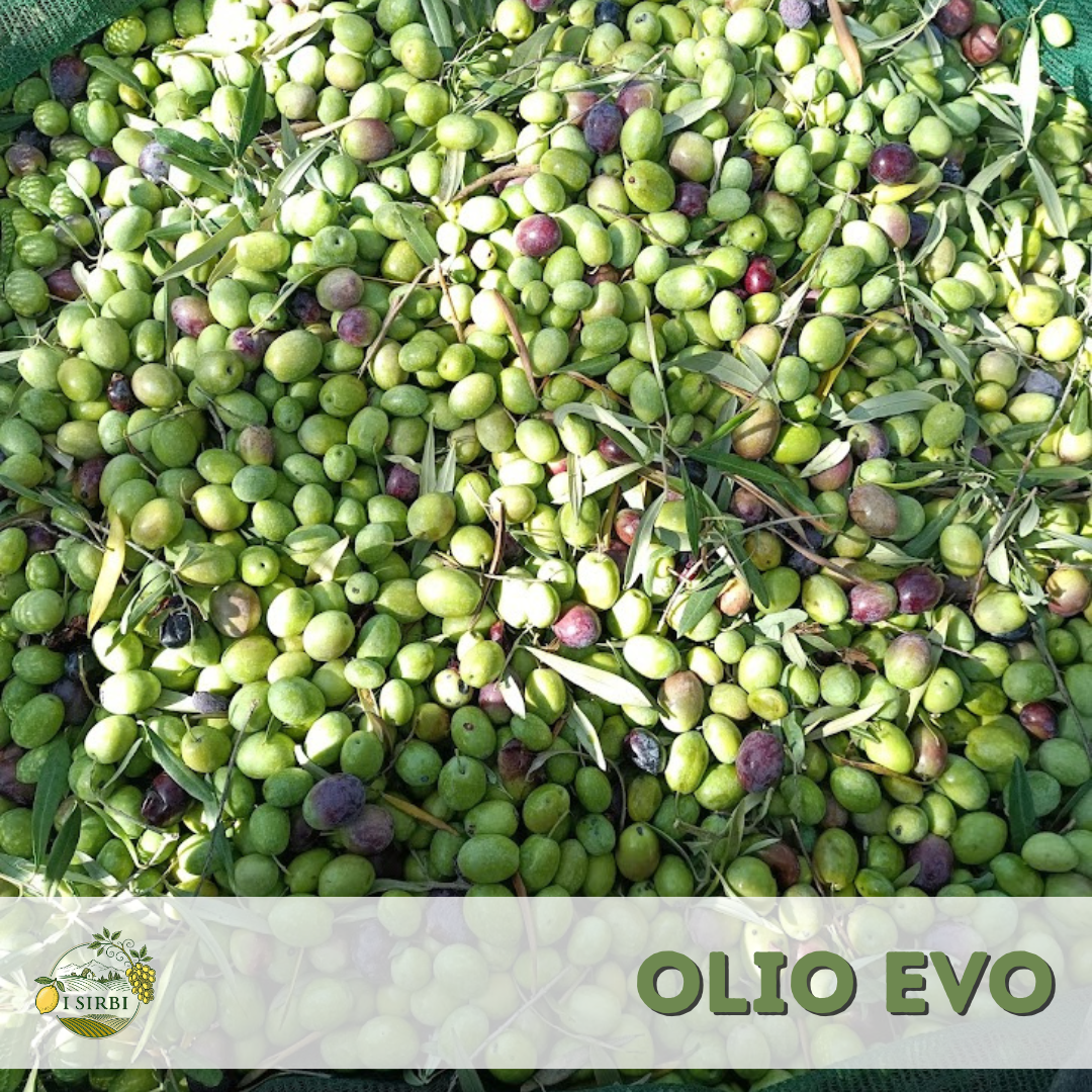 Olio Extravergine di Oliva – 100% Naturale e Non Trattato - Prenotazione