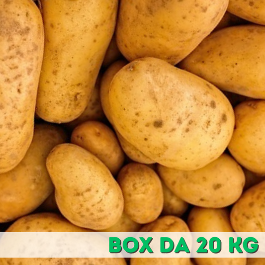 Box 20kg Patate " raccolte fresche "