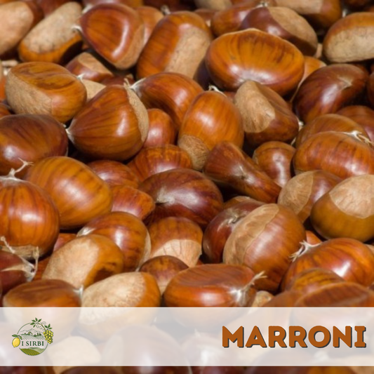 🌰 Marroni dell’Etna – 100% naturali e non trattate
