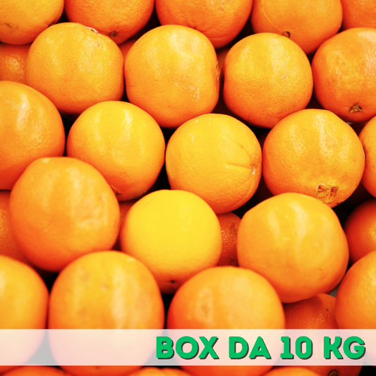 Arance Navel molto dolci Box da  10 kg