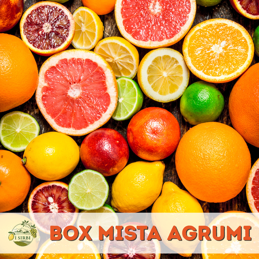 Box mista agrumi 9/19/38 KG