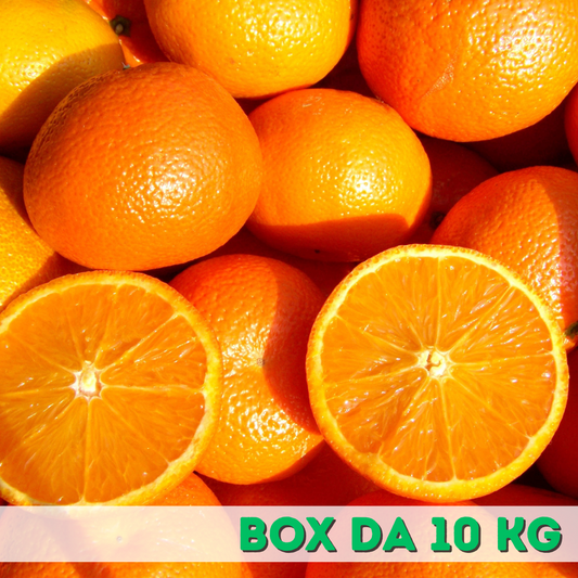 Arance da spremuta Box da 10 kg