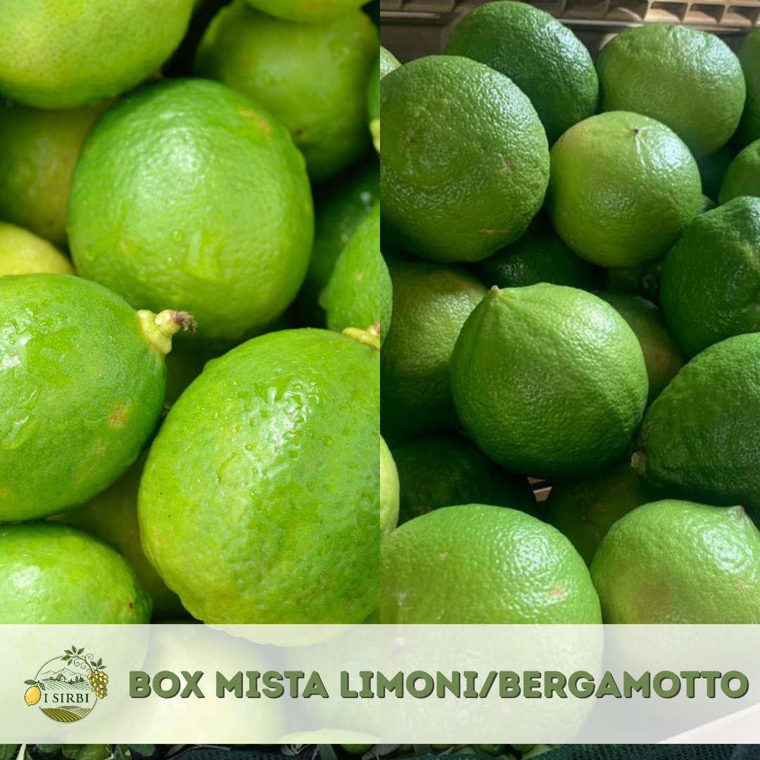Box mista 9/19/36 KG Limoni e Bergamotti