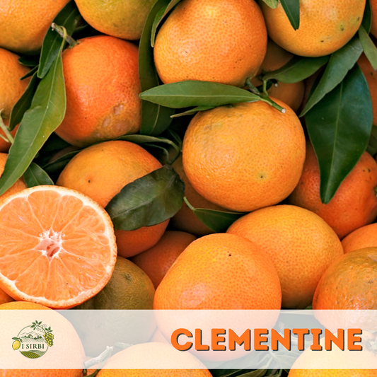 Clementine  10/20/40 KG
