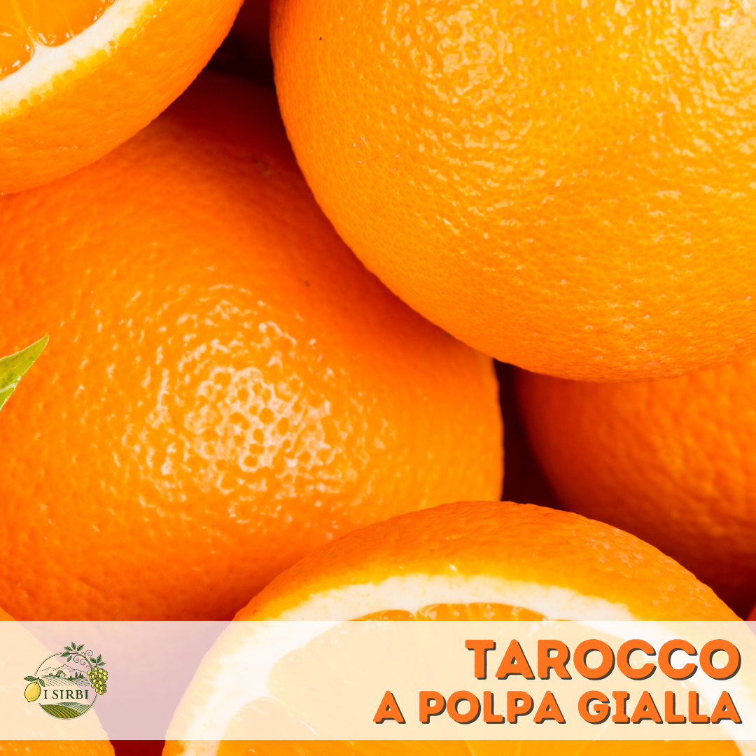 Tarocco a polpa gialla 9/18/36 KG