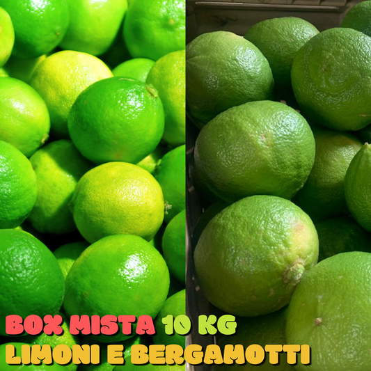 Box mista 10 KG Limoni e Bergamotti