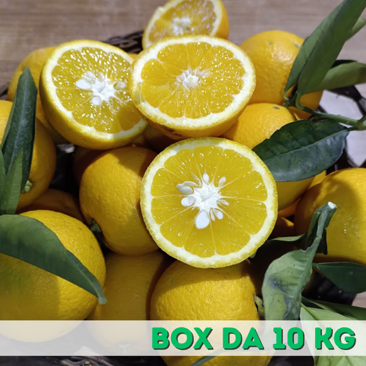 Arance Vaniglia Paradiso " Dolcissima " Box da 10 Kg
