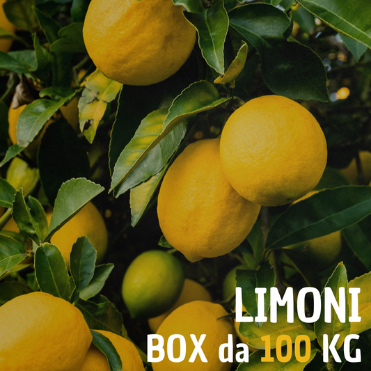 Limoni Confezione 100 KG