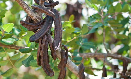 🌿 Carrube Siciliane dell’Etna – 100% naturali e non trattate