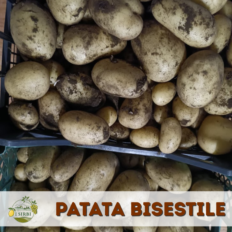 Patate Bisestili Arizona a pasta gialla 10KG
