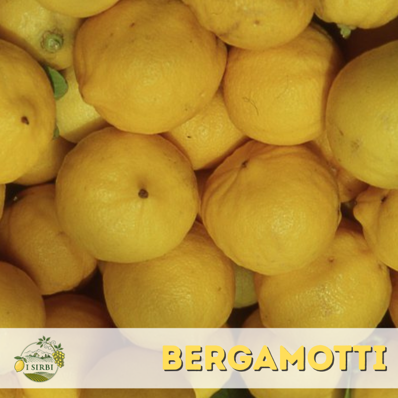 Bergamotto dell'Etna / Buccia Edibile /