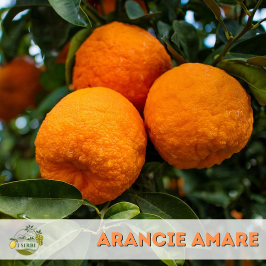Arancio amaro box da 9/16.5KG