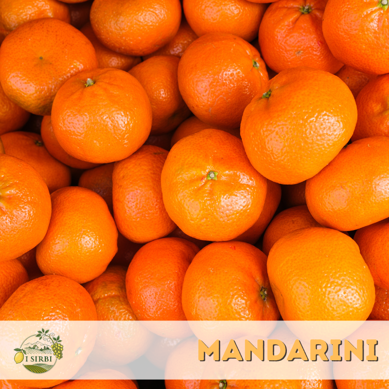 Mandarini Box 9/16,5 KG