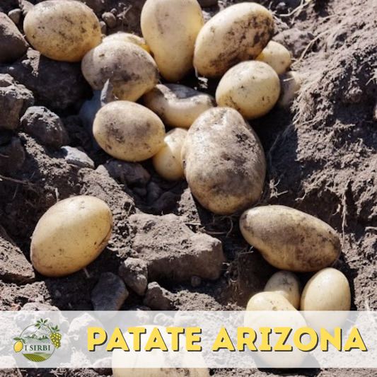 Patate da Mensa Arizona a pasta gialla